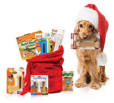 Win $300 In Nylabone Products