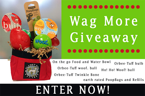 Win A Dog Prize Pack