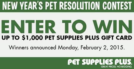 Win a $1,000 Pet Supplies Plus Gift Card