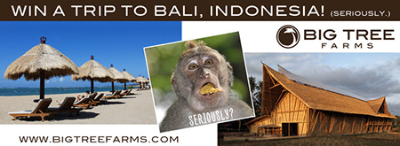 Win a Trip to Bali