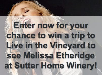 Win a Trip to Napa: Live in the Vineyard