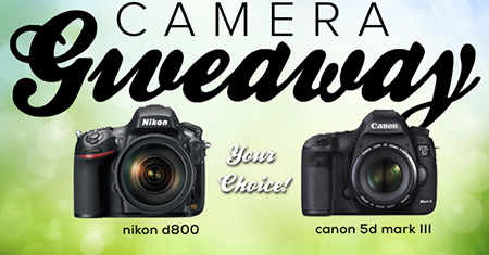 Win a Nikon D800 or Canon 5D Mark III