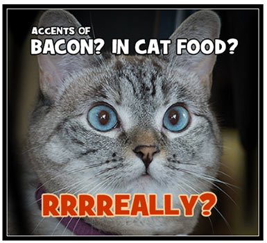 Friskies: Win Bacon For A Year