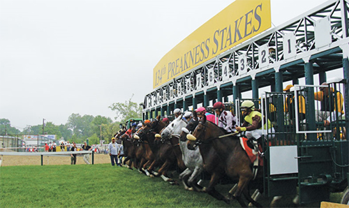 Win a Trip to the Preakness