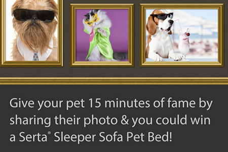 Win a Serta Sleeper Sofa Pet Bed
