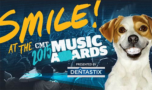 Win a Dog-friendly Trip to CMT Awards