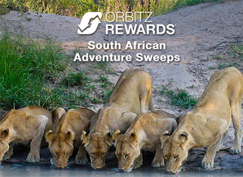 Win a South African Adventure Vacation