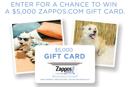 Win a $5,000 Zappos Gift Card