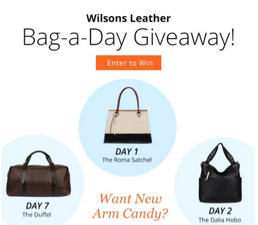 Win Handbags Daily Through July 5th