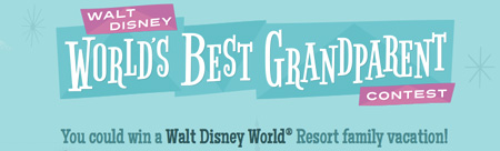 Win a 8 day/7 night Disney World Package for 6
