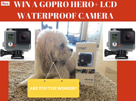 Win a GoPro Hero+ LCD Waterproof camera