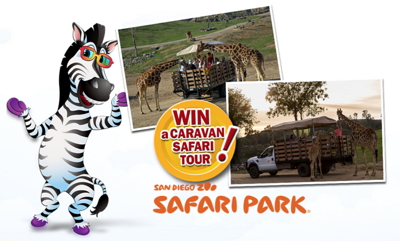 Win a Caravan Safari Tour