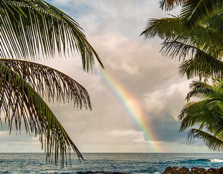 Win a Trip to Hawaii from Orbitz