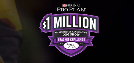 Win $1,000,000 One Million Dollars from Purina
