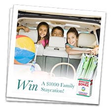 Win A Year’s Supply Of Borax + $1k Airfare