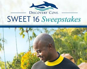 Win A Discovery Cove Vacation