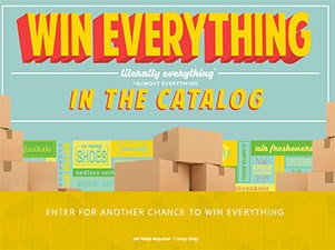 Win Everything In Zumiez Catalog