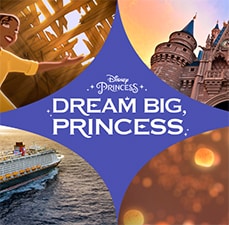 Win A Disney Land & Sea Adventure