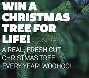 Win a Christmas Tree for Life