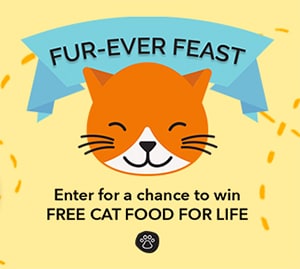 Win Cat Food for Life