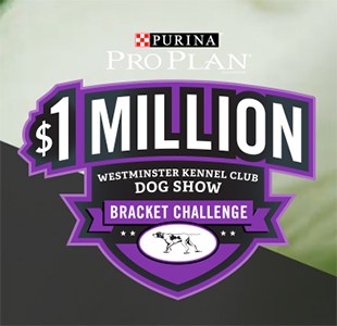 Purina Pro Plan: Win up to $1 Million
