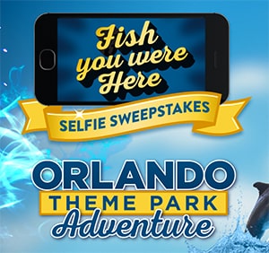 Win an Orlando Theme Park Adventure