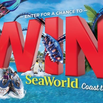Win 3 Trips to SeaWorld