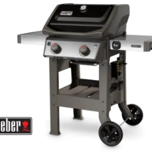Win a Weber Spirit II Gas Grill from Treasure Cave Granny