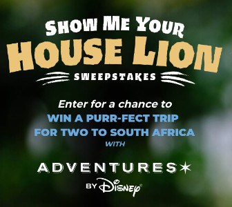 Win a South African Safari from Disney