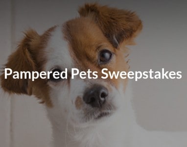 Pampered Pets Sweepstakes