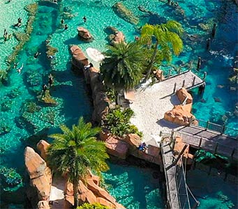 Win a Trip to Discovery Cove in Orlando