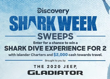 Win a Shark Dive Experience from Discovery