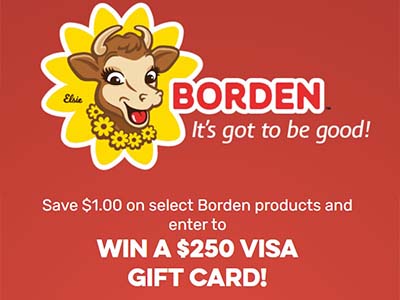 Win a $250 VISA Gift Card from Borden