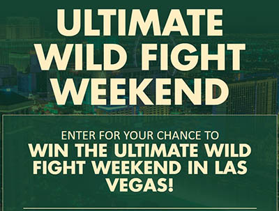 Win an MMA Weekend in Las Vegas