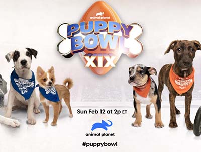 Win $5,000 from Puppy Bowl XIX
