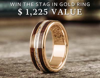 Win a Handcrafted Stag In Gold Ring