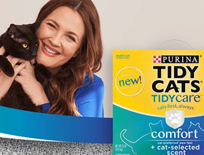 Win a $5K Refresh from Tidy Cats