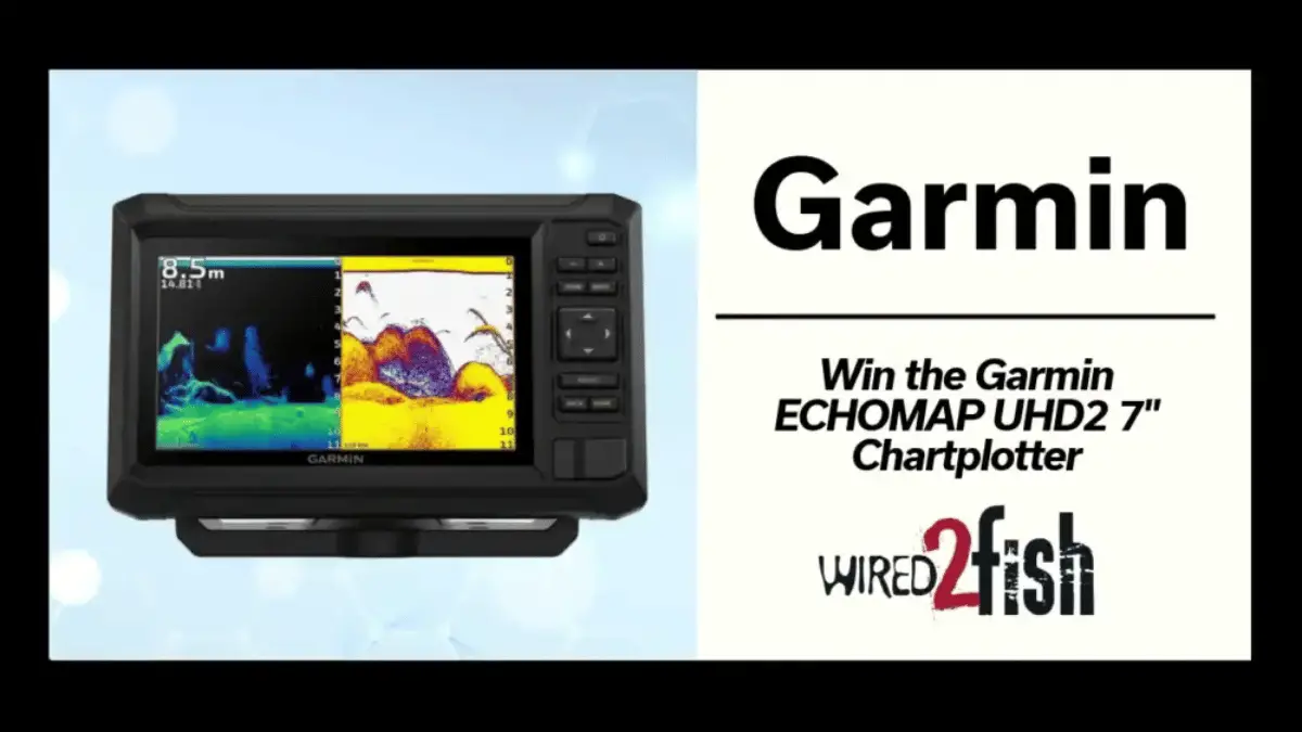 Win Exciting Prizes with Wired2Fish Giveaway!