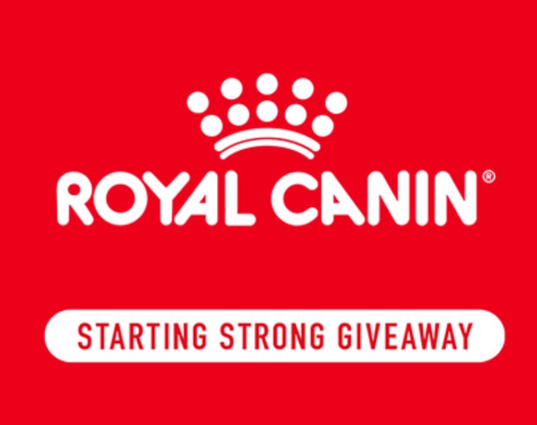 Win a Year of Pet Food!
