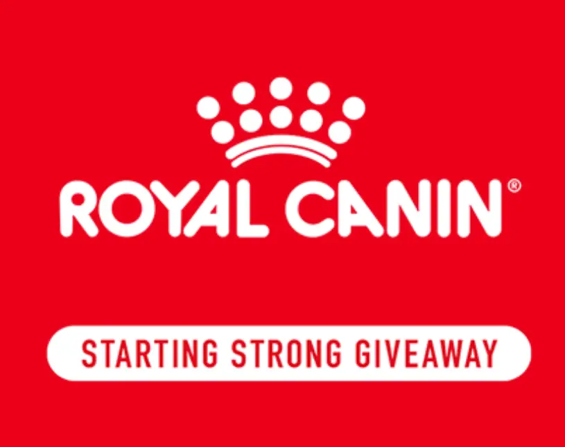 Win a Year of Pet Food!