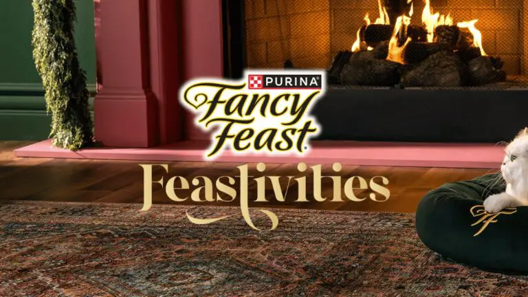 Win Exclusive Fancy Feast Prizes!
