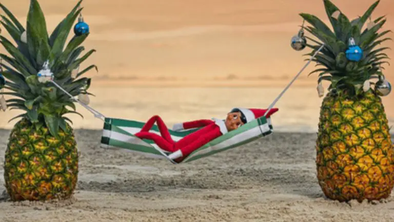 Win a Dream Vacation!